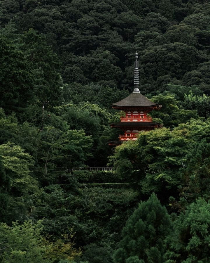 Forest Pilgrimage at Senkoji Temple