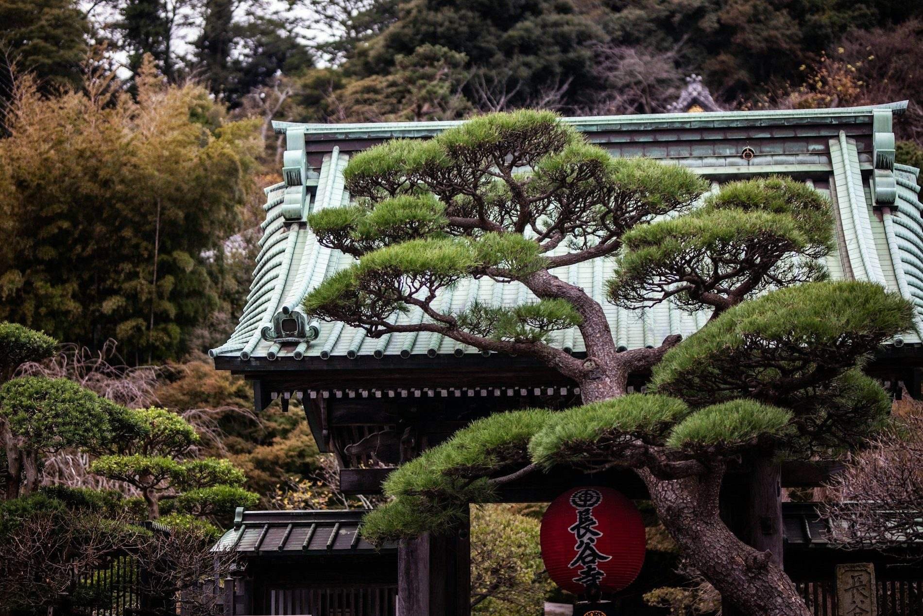 Kannon Painting & Temple Walk in Kita-Kamakura