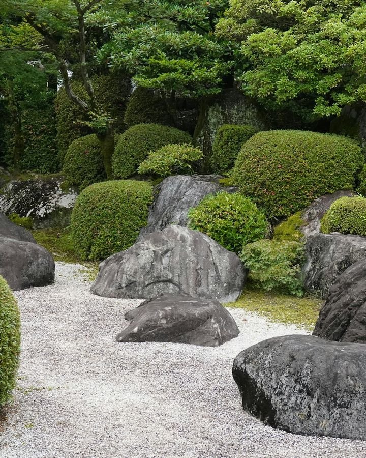 Rock Garden Zazen at Seigan-ji