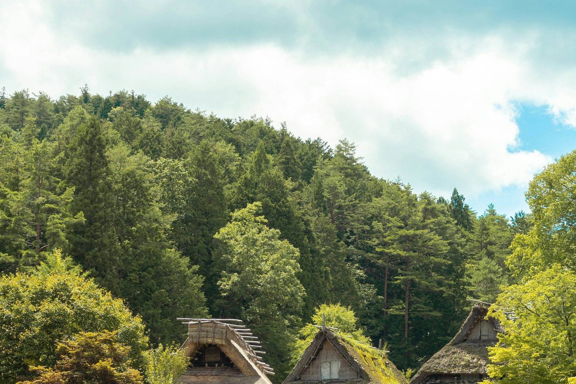 Hida Takayama Hike & Cycle