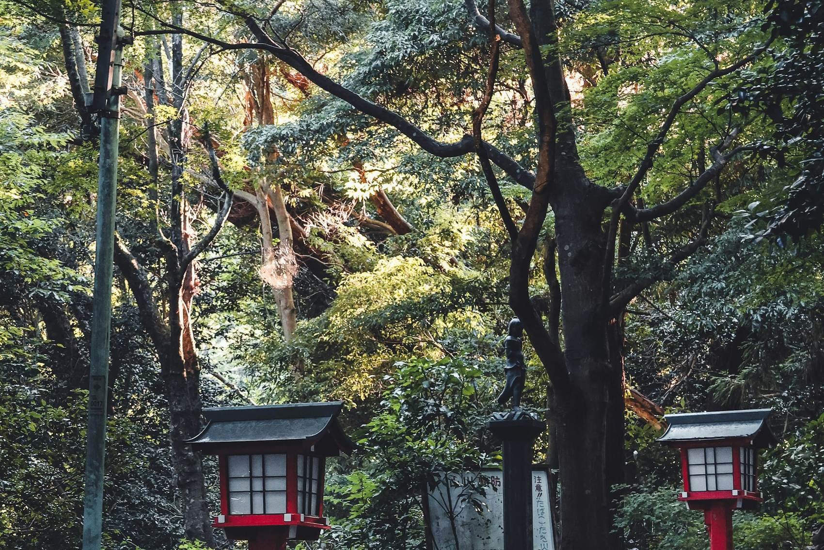 Mount Takao Hike & Shojin Lunch