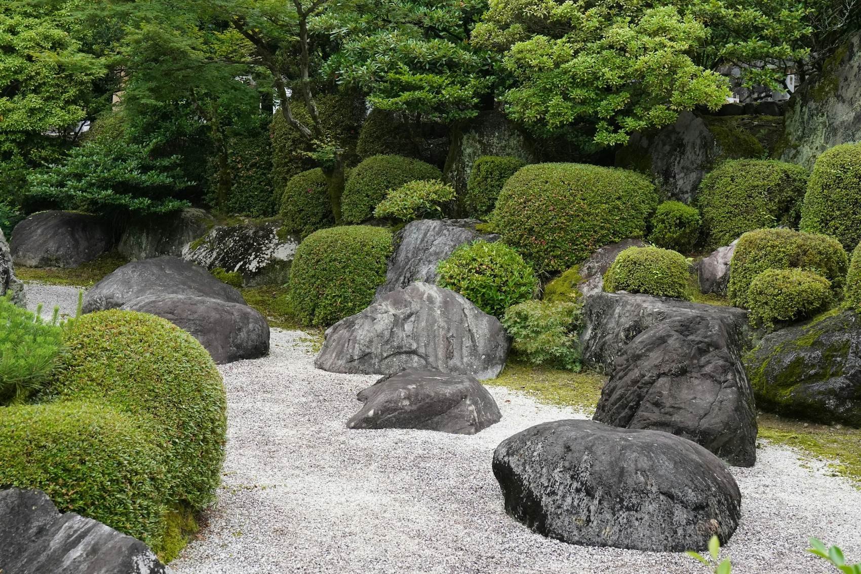 Rock Garden Zazen at Seigan-ji
