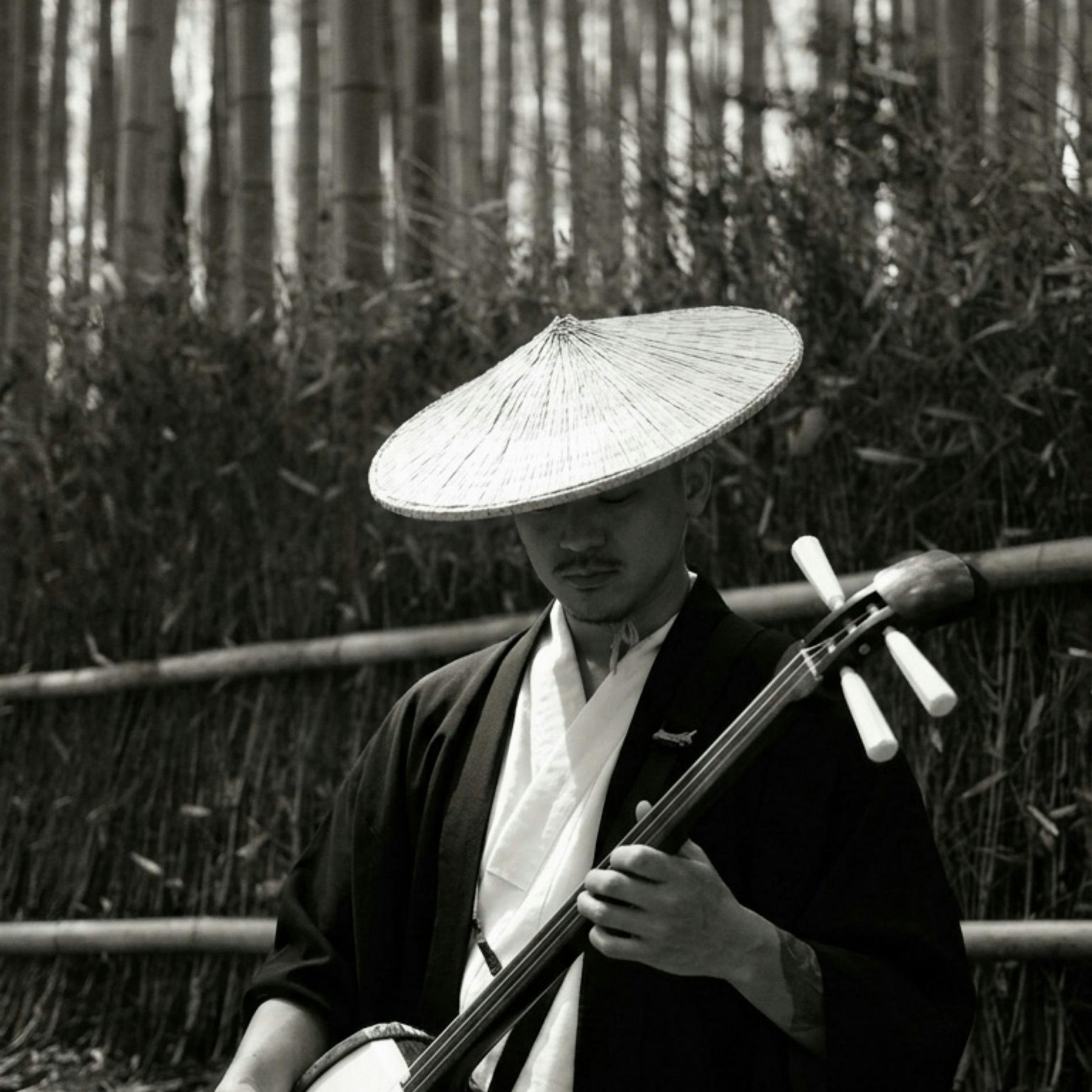 Shamisen Lesson and Lunch in Akasaka
