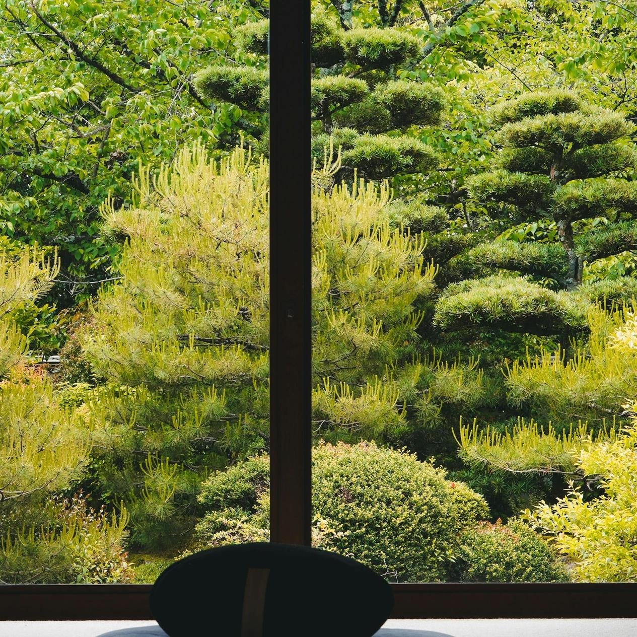 Zen Meditation at a Kamakura Temple