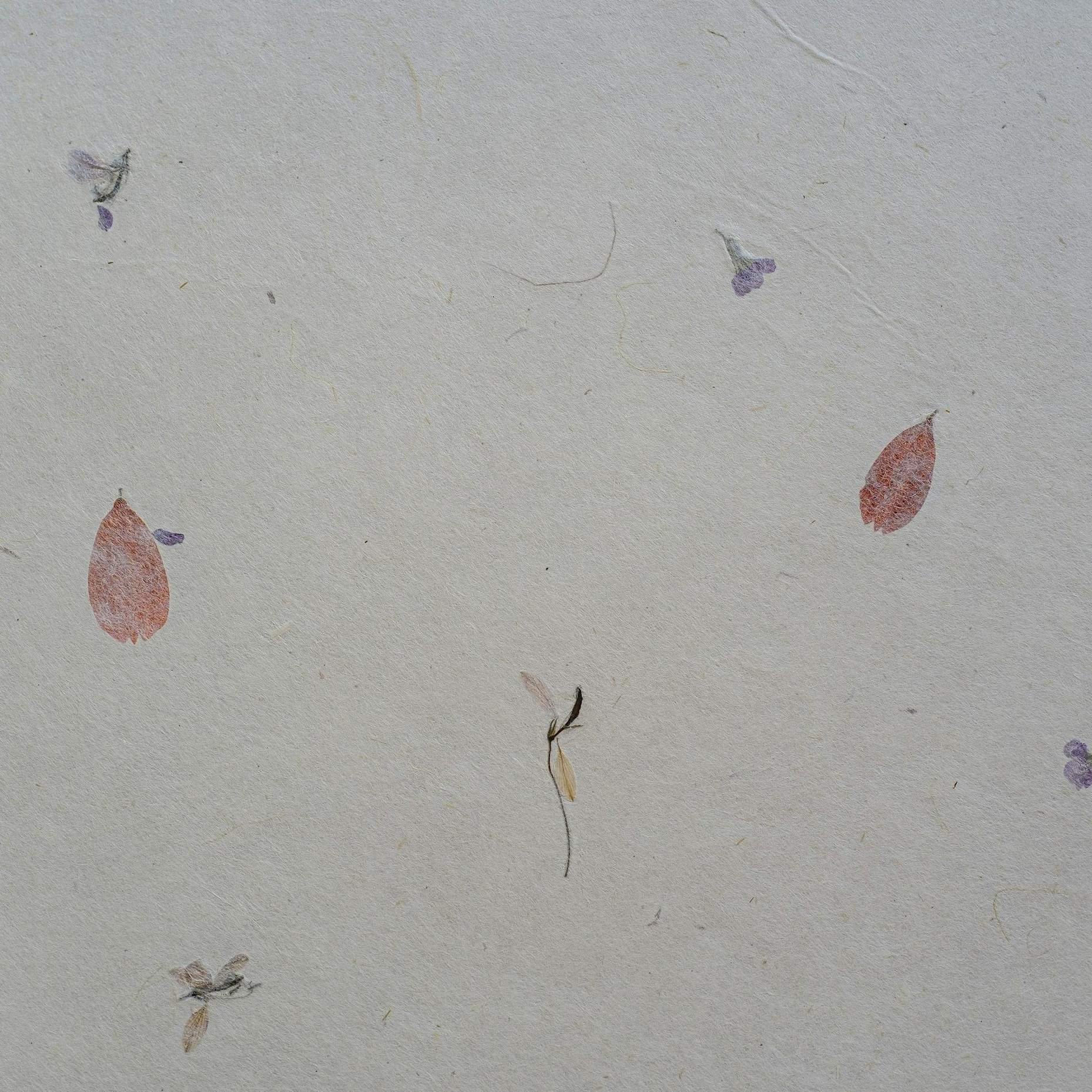 Washi Papermaking and Journal Craft