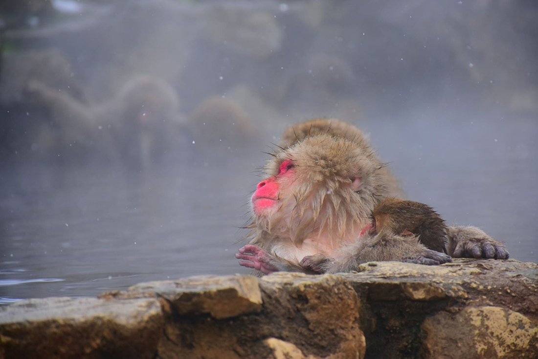 Hot Springs and Mountains, Nagano to Nikko · 8 days
