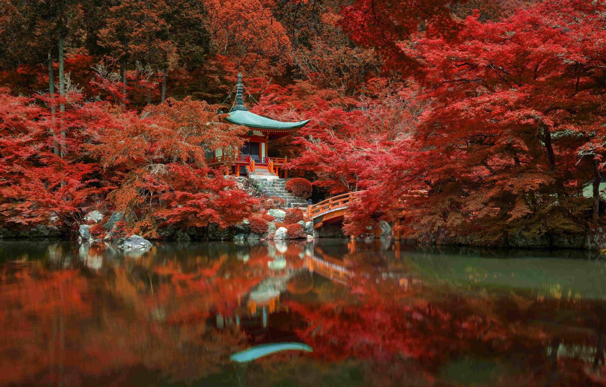 Scenic road winding through vivid red and orange autumn forest, Japan koyo season
