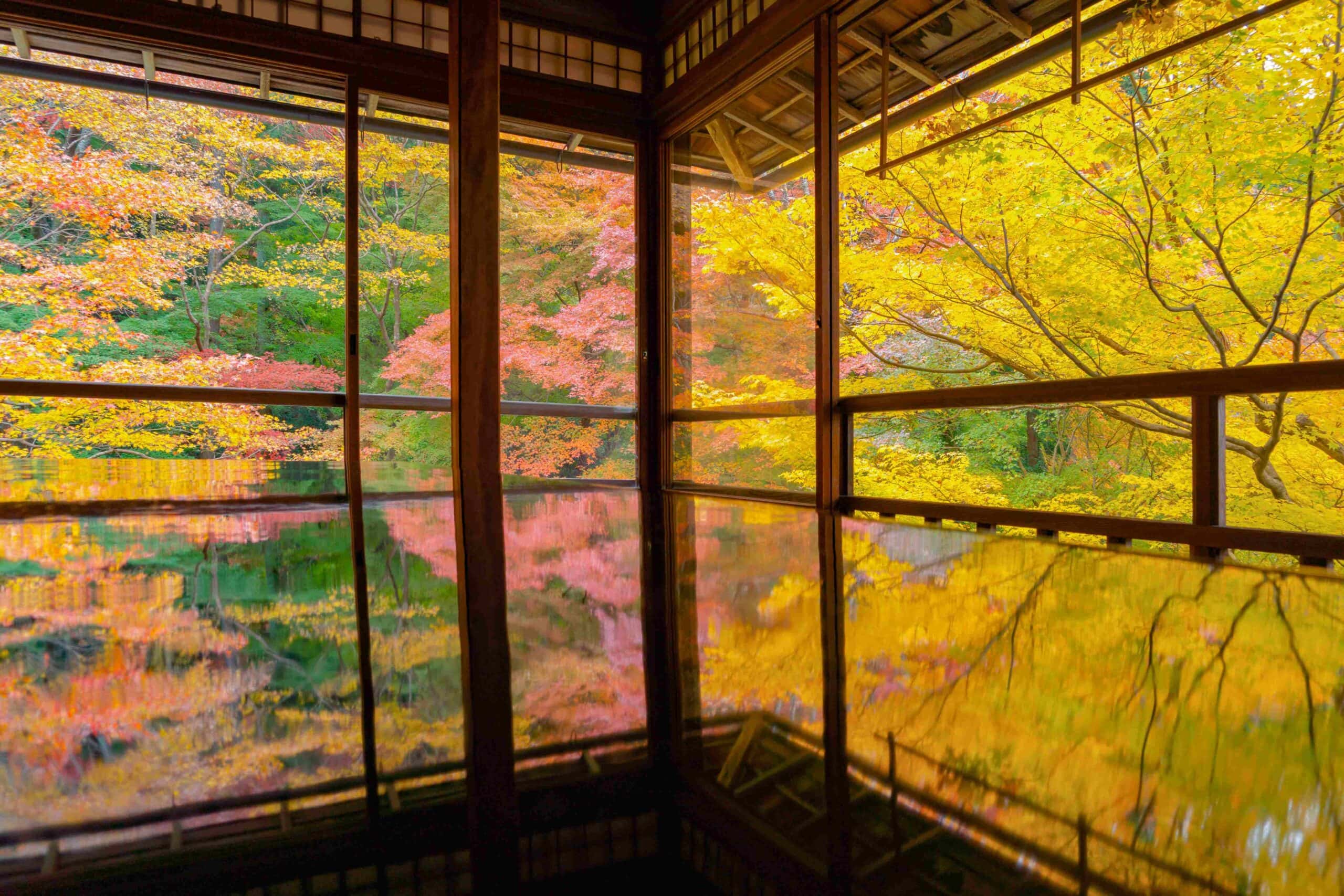 A garden seen through a wooden lattice window