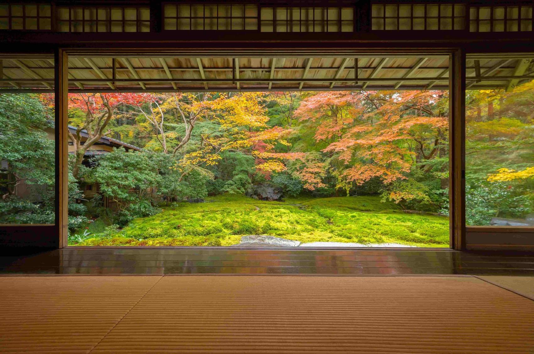 Autumn maples framing a quiet garden, Japan
