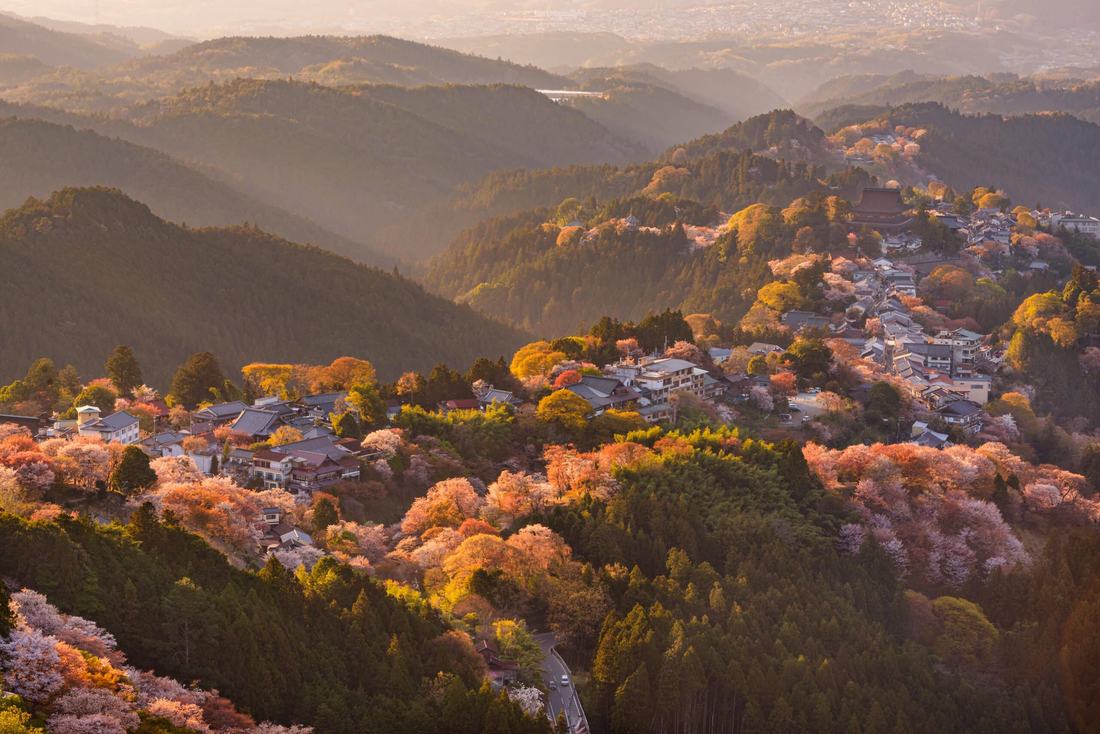 Mountain village and valleys in soft morning light, Japan
