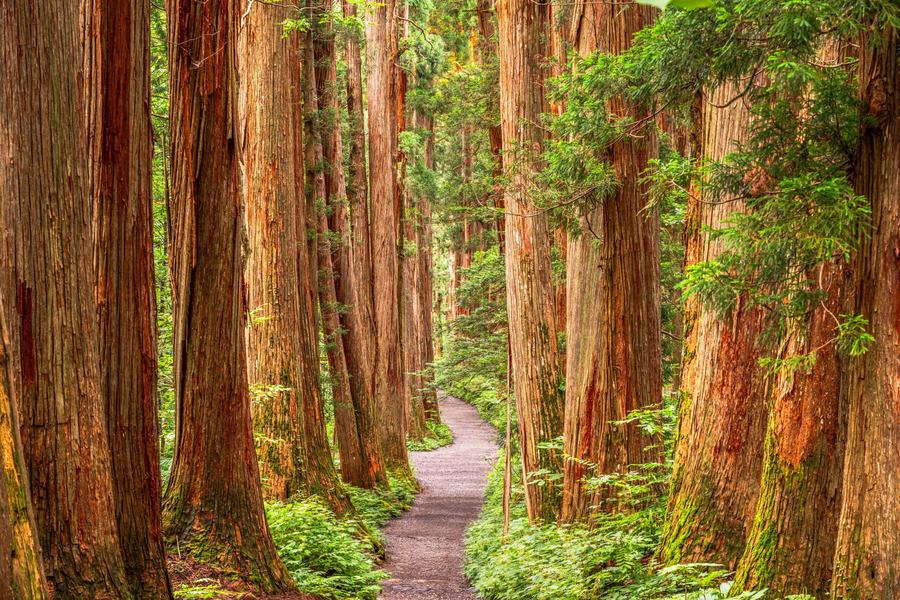 It rains in Hakone