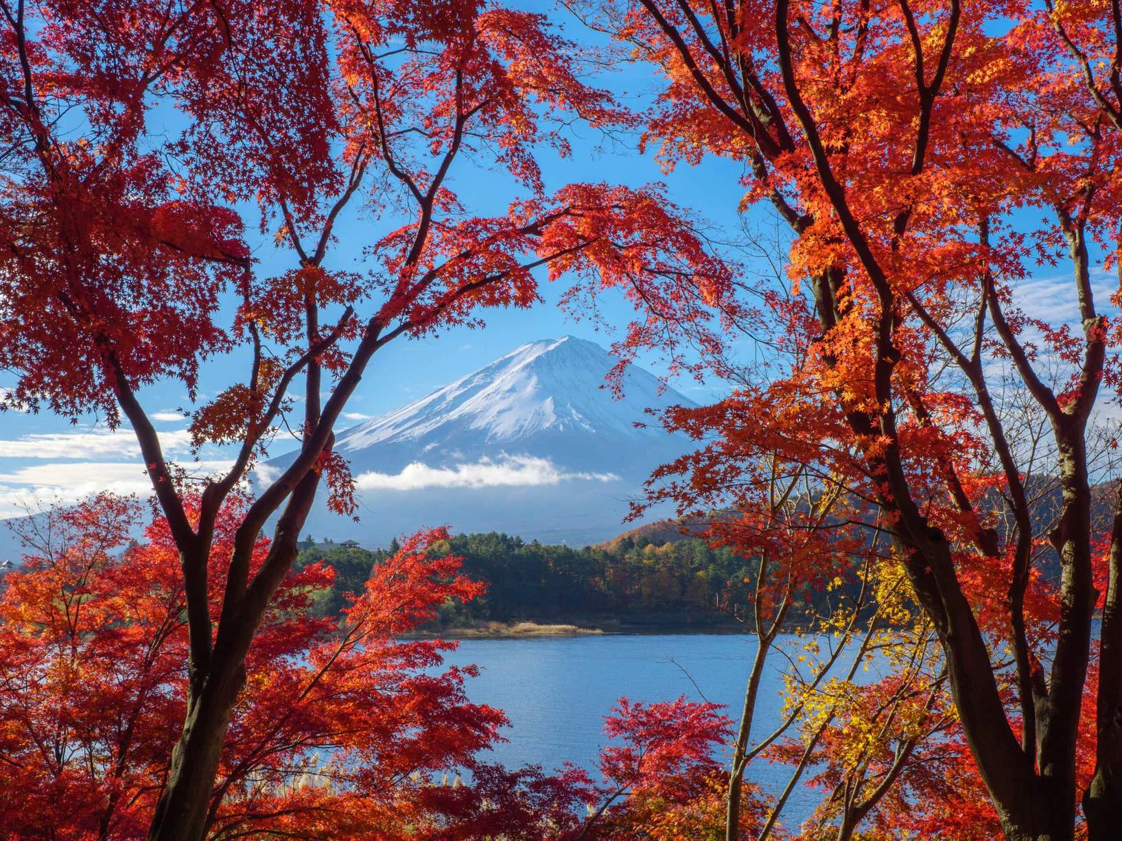 Mount Fuji framed by vivid red autumn maple trees reflected in the still surface of a lake, Japan