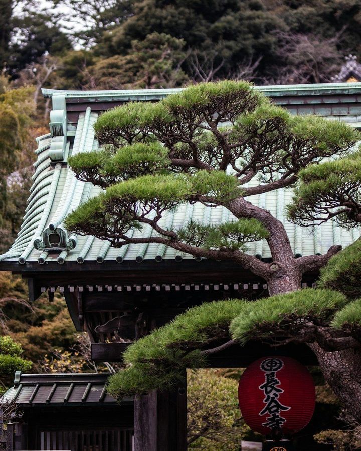 Kannon Painting & Temple Walk in Kita-Kamakura