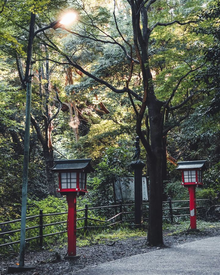 Mount Takao Hike & Shojin Lunch