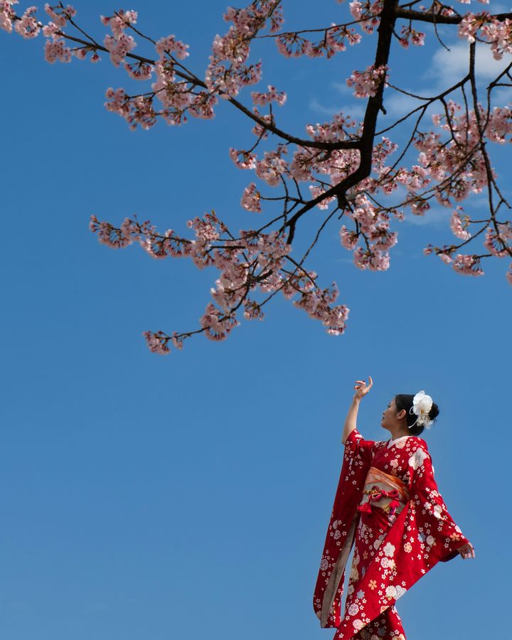 Japanese Dance at a Ryotei in Akasaka