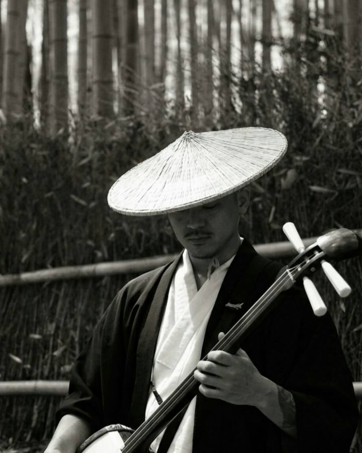 Shamisen Lesson and Lunch in Akasaka