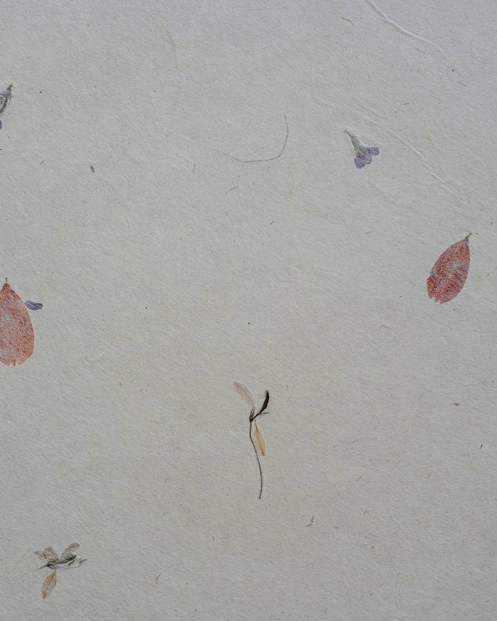 Washi Papermaking and Journal Craft