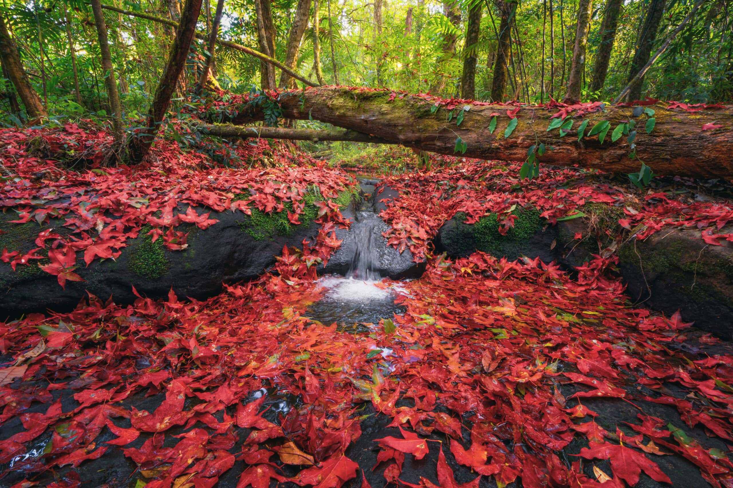 Tour image secondary