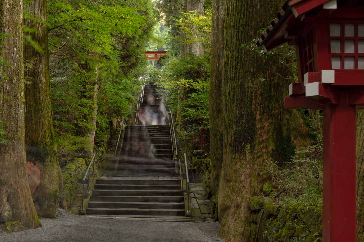 Tour image 5